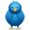 Follow Us On Twitter